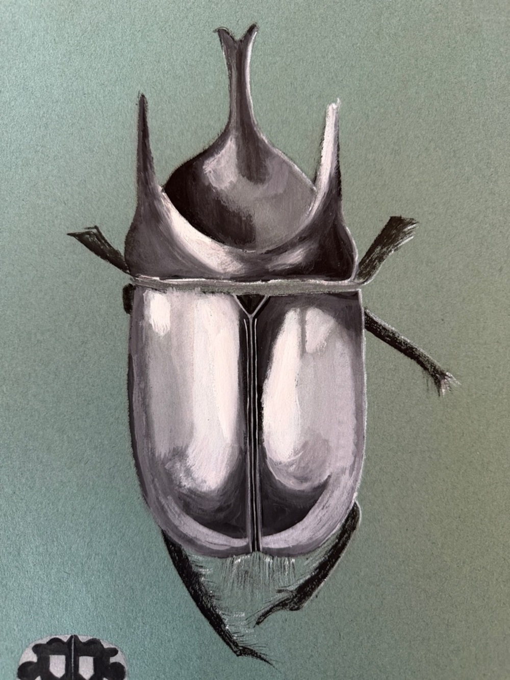 Original Signed Beetle Painting Jean Dryden Vintage Entomology Art - Picture 3 of 10